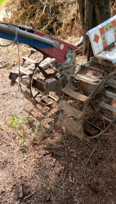 ขายตัวสยาม.มีหลายตัวให้เลือกครับ.สวยๆพร้อมใช้