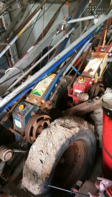 ขายตัวสยาม.มีหลายตัวให้เลือกครับ.สวยๆพร้อมใช้