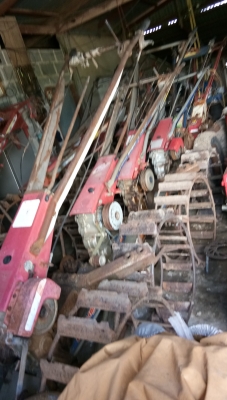 ขายตัวสยาม.มีหลายตัวให้เลือกครับ.สวยๆพร้อมใช้