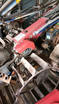 ขายตัวสยาม.มีหลายตัวให้เลือกครับ.สวยๆพร้อมใช้