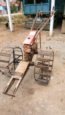 ขายตัวสยาม.มีหลายตัวให้เลือกครับ.สวยๆพร้อมใช้