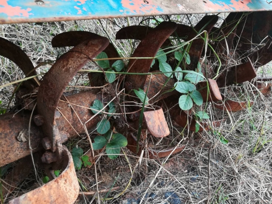 ขายโรตาลีติดรถไถ36แรง