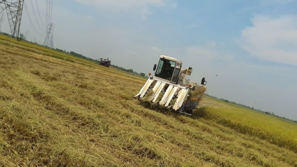 ขายรถเกี่ยวข้าว japan 6