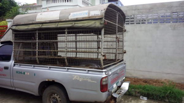 ขายหลังคาถอดไทเกอร์ ตอนเดียว และตู้แห้งทึบถอดจากไมตี้ตอนเดียว ขายหลังคาถอดไทเกอร์ ตอนเดียว และตู้แห้งทึบถอดจากไมตี้ตอนเดียว