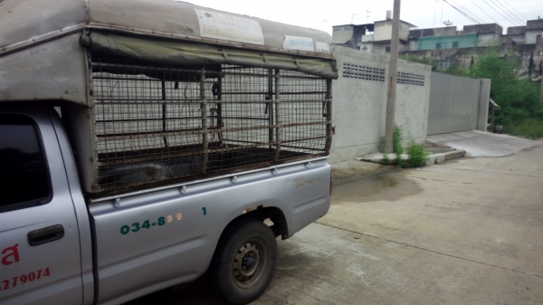 ขายหลังคาถอดไทเกอร์ ตอนเดียว และตู้แห้งทึบถอดจากไมตี้ตอนเดียว