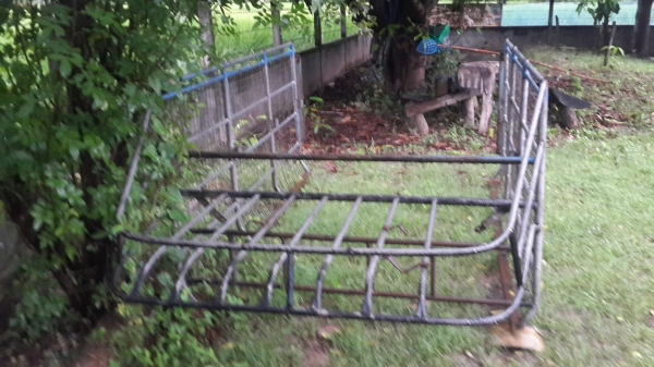 คอกตอนเดียว