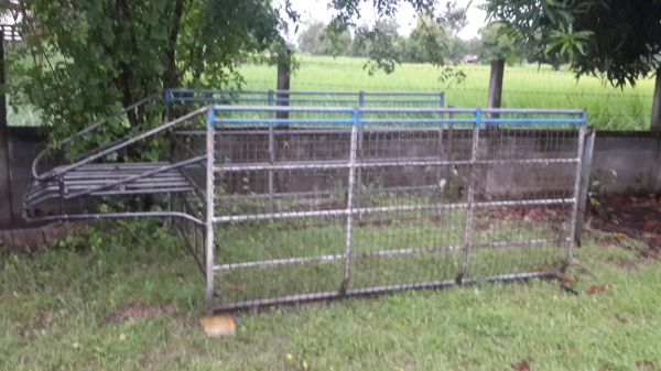 คอกตอนเดียว