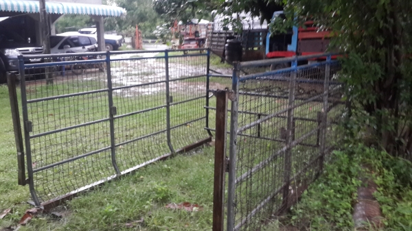 คอกตอนเดียว