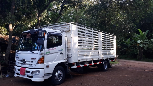 HINO FC9JLLA เครื่อง 175 HP   ยาว 6.50 ม. รถห้างมือเดียวป้ายแดง