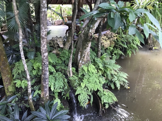 เกรดเดอร์มือ2