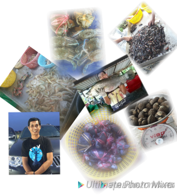 ุขายปูแสม 0819450207