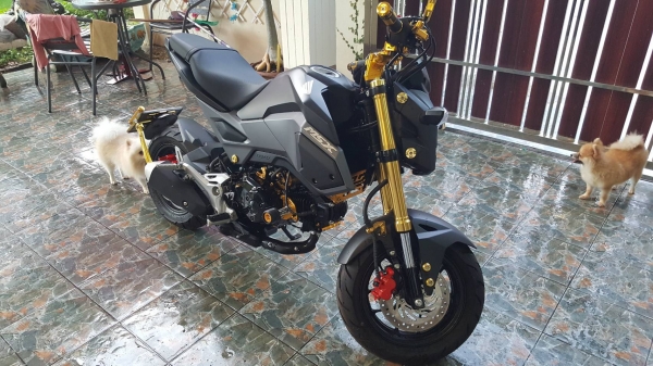 ขาย MXS 125 SF ปี 2016