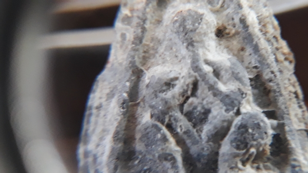 ขายพระปิดตากรุท้ายตลาด พิมพ์นั่งยอง