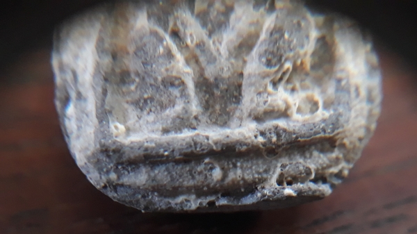 ขายพระปิดตากรุท้ายตลาด พิมพ์นั่งยอง