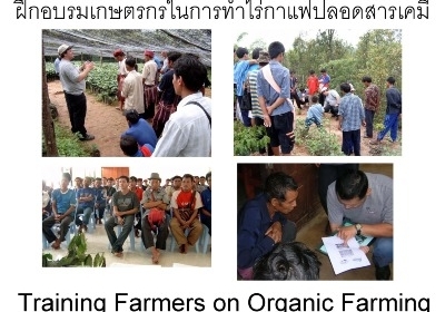 รับออกแบบโลโก้ร้านกาแฟฟรีแพ็คพร้อมเม็ดกาแฟคั่วสดใหม่พร้อมขาย