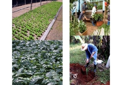 รับออกแบบโลโก้ร้านกาแฟฟรีแพ็คพร้อมเม็ดกาแฟคั่วสดใหม่พร้อมขาย
