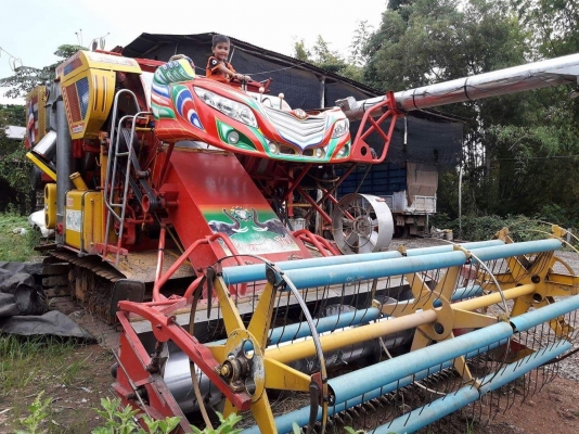 ขายจ้าวช้างไวไฟ 54 ปลายปี