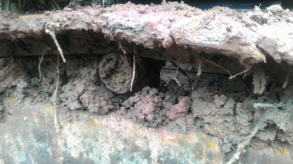 ขายรถขุด Pc20-7E      พร้อมใช้งาน    ราคา195000ต่อรองได้