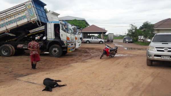 ขาย 344 hino ขาย 344 hino