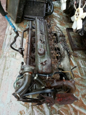 ขายด่วนเครื่องเกียรDM100 110แรงพร้อมใช้มีใบคุมเครื่องสวยติดนิ่มดีไม่มีไอพร้อมใช้ ขายด่วนเครื่องเกียรDM100 110แรงพร้อมใช้มีใบคุมเครื่องสวยติดนิ่มดีไม่มีไอพร้อมใช้