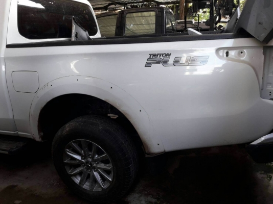 ขาย ลูกกะบะ ออนิ้วไทรตั้น แคป ตัวสูง