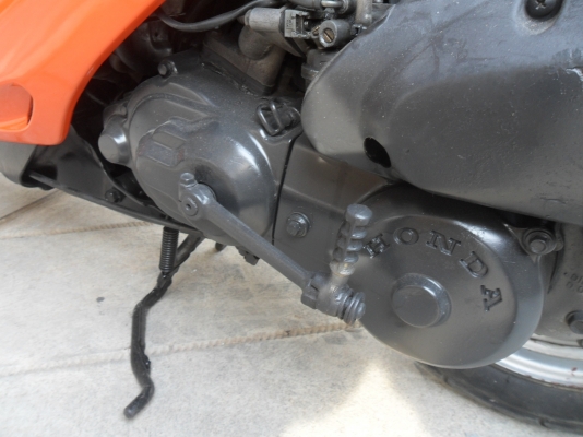 รถป๊อบ HONDA ZX Dio