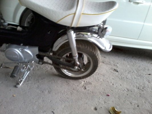 ขายชาลีครับตามรูป