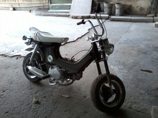 ขายชาลีครับตามรูป