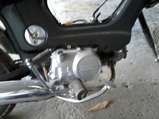 ขายชาลีครับตามรูป