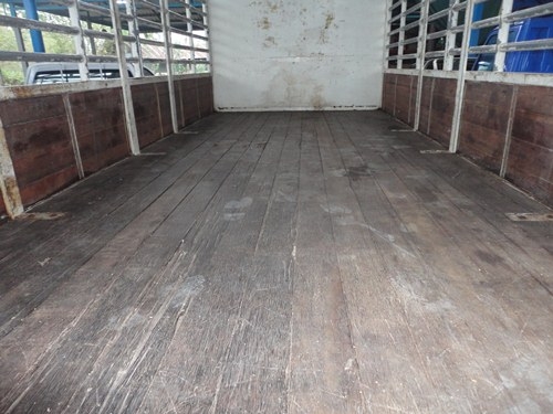 เมก้าFCปี50