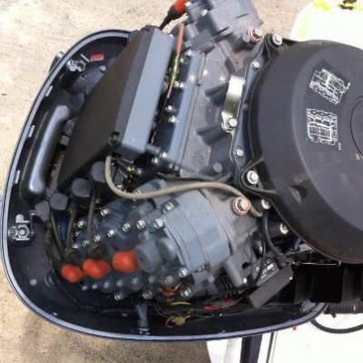 ขาย QUINTREX 610 OCEANSPORT