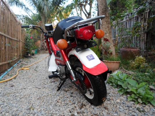 ขายชาลี ขายชาลี