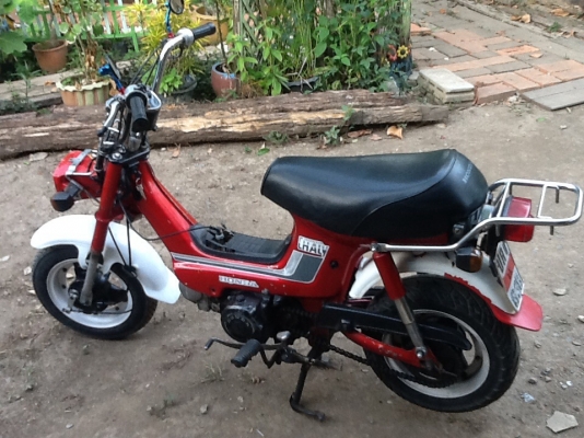 ขายชาลี ขายชาลี