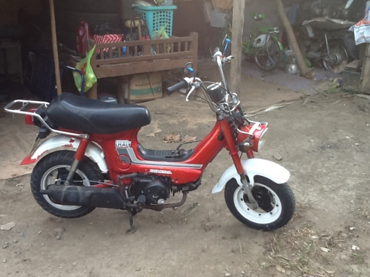 ขายชาลี ขายชาลี