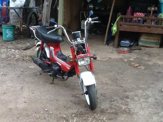 ขายชาลี ขายชาลี