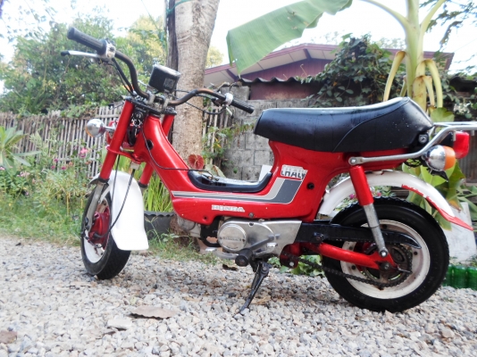 ขายชาลี ขายชาลี