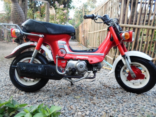 ขายชาลี