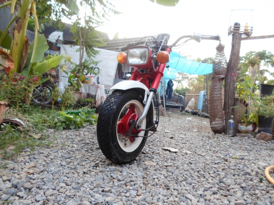 ขายชาลี ขายชาลี