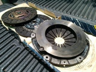 คลัทดีแม็ก คอมมอนเรล