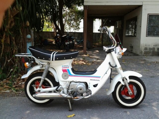 ขาย ชาลีเดิมๆ เครื่อง70cc. แต่งนิสหน่อยถูกๆๆ