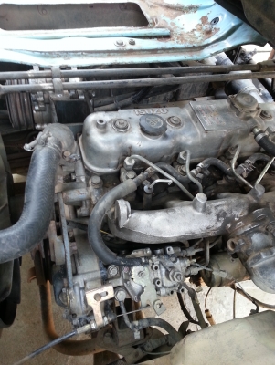 ขาย ISUZU NKR88 รถห้างแท้