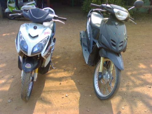 ปิดการขายส่งคุณปรีชาสุพรรณพรุ่งนี้ครับมีโอ49+นูโว48