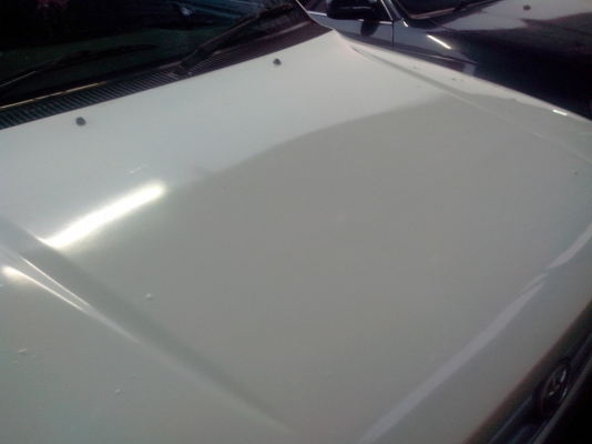 ขายด่วนไทเกอร์สี่ปะตูปี99เครื่อง2500พวงมลัยเพาเวอร์