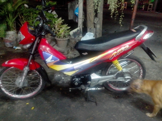 ขายฮอนด้า ไนท์