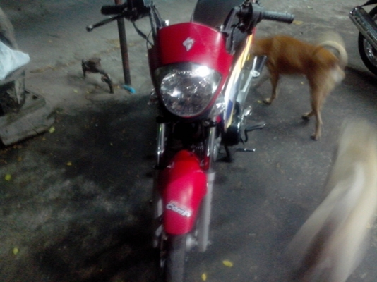 ขายฮอนด้า ไนท์