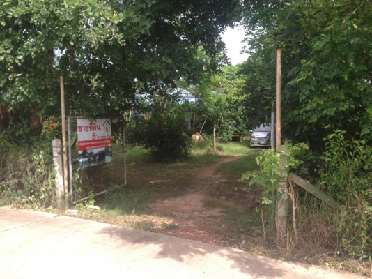 ขายที่ดินพร้อมบ้านจ.เพชรบุรีอ.ท่ายางต.วังไคร้