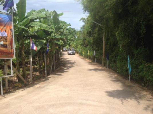 ขายที่ดินพร้อมบ้านจ.เพชรบุรีอ.ท่ายางต.วังไคร้