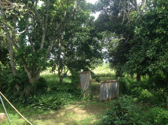 ขายที่ดินพร้อมบ้านจ.เพชรบุรีอ.ท่ายางต.วังไคร้