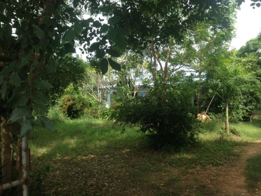 ขายที่ดินพร้อมบ้านจ.เพชรบุรีอ.ท่ายางต.วังไคร้