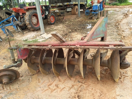 หาง7ใบ26cmt